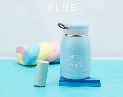 Insulated Water Bottle